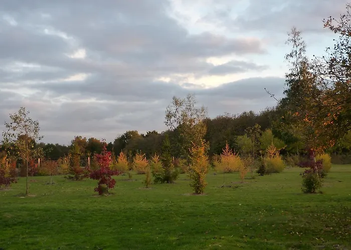 La Serpauderie 4* Saint-André-de-Lidon