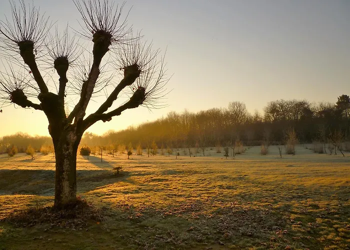 La Serpauderie 4* Saint-André-de-Lidon